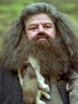 Rubeushagrid.png